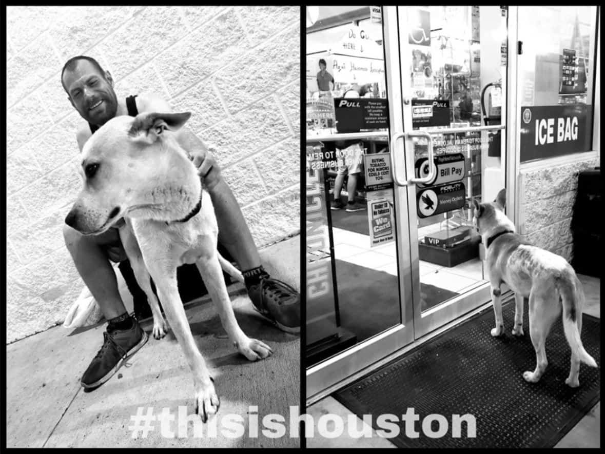 ThisIsHouston picture of homeless man and his dog