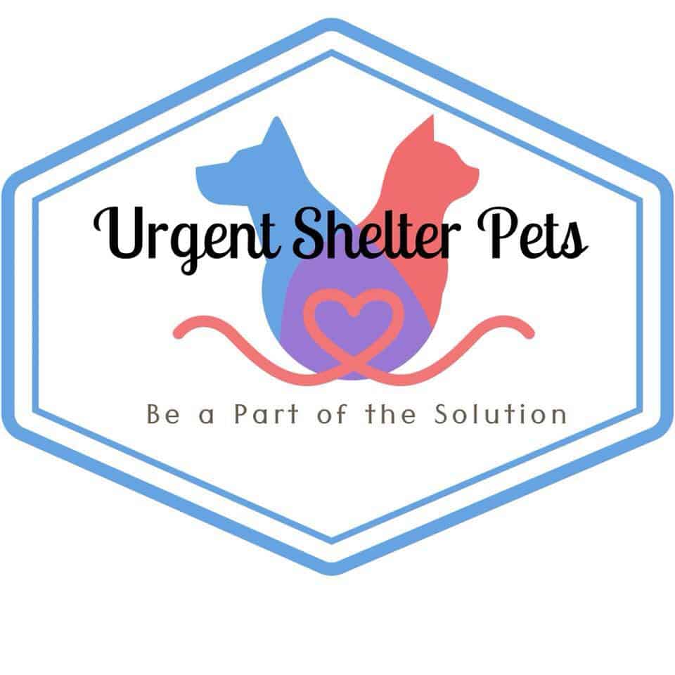 logo for facebook page Urgent Shelter Pets Houston