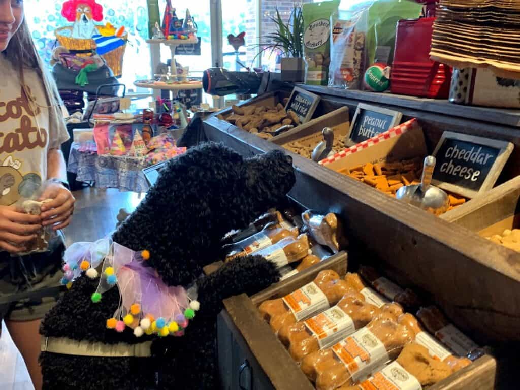 dogs love bulk treats at Patsy's Pet Market