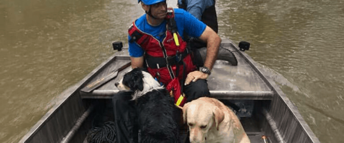 dogs flooding hurricane safety