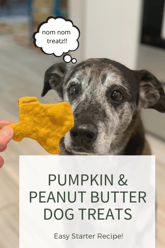 peanut butter and pumpkin dog treats recipe pinterest