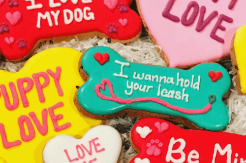 gluten free organic dog treats for valentines day