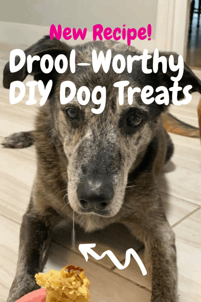 pinterest pin for diy dog treats recipe showing brown dog drooling with dog treat.