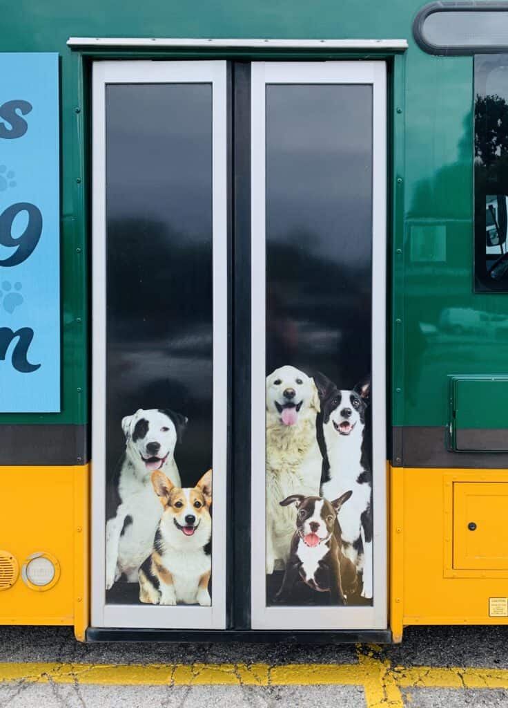 duper dogs bus doors dog uber for pets pet taxi