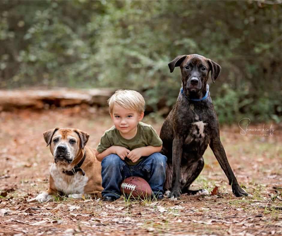 Shauna Kiely photography, houston photographer family and pet photographer.