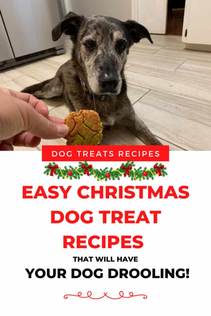 https://houstondogmom.com/wp-content/uploads/2020/12/christmas-dog-treats-683x1024.jpg