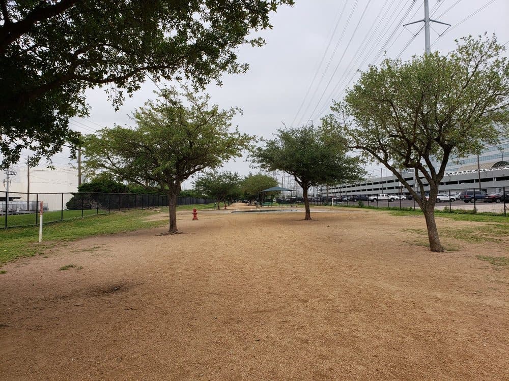 picture of danny jackson dog park