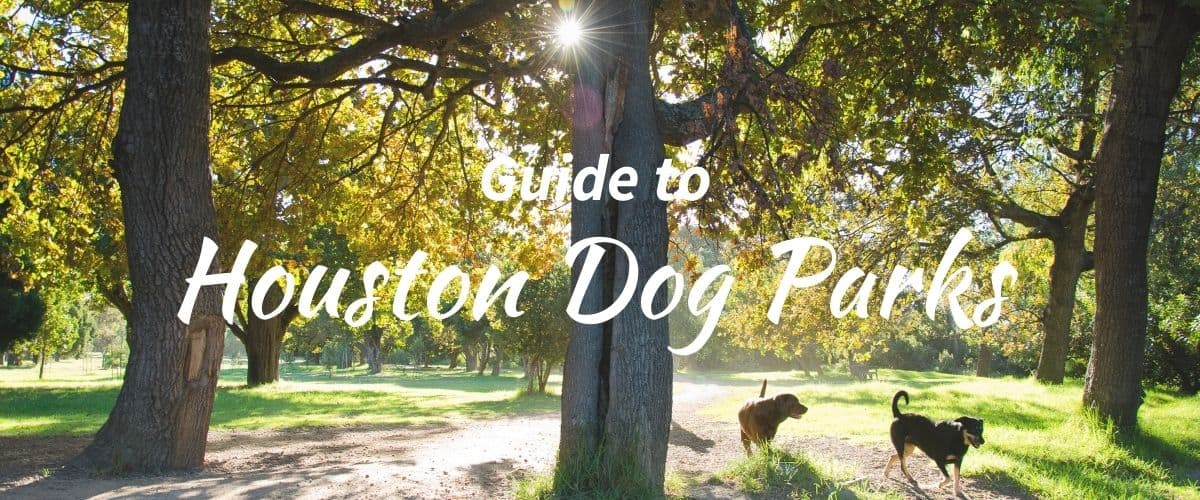 Your ultimate guide to Levy Park, Houston's hidden gem