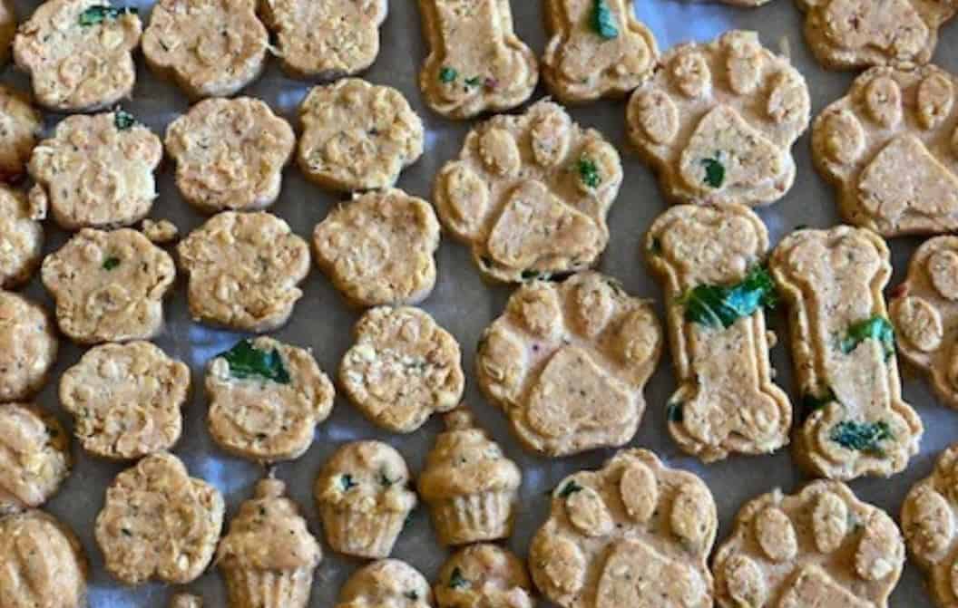 dog treats
