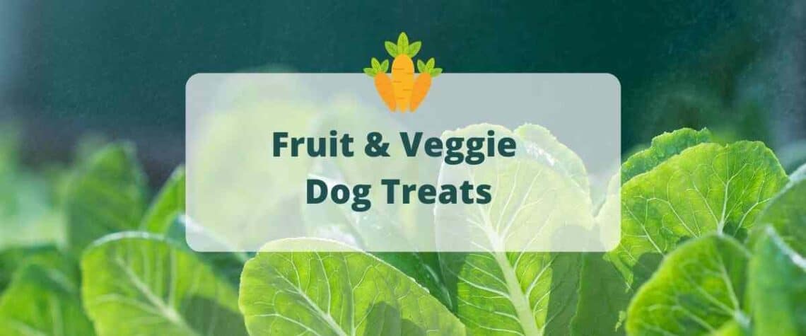 fruit and veggie dog treats recipe