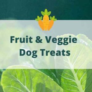 fruit and veggie dog treats recipe