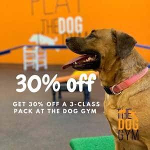 houston dog gym coupon code discount