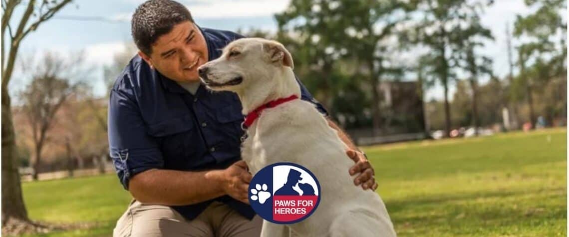 paws for heroes matches shelter dogs with veterans for companion dogs