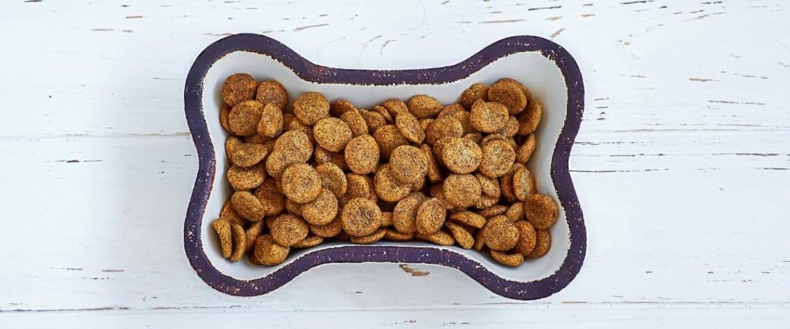 learn about dog nutrition. photo shows bone shaped bowl with kibble.