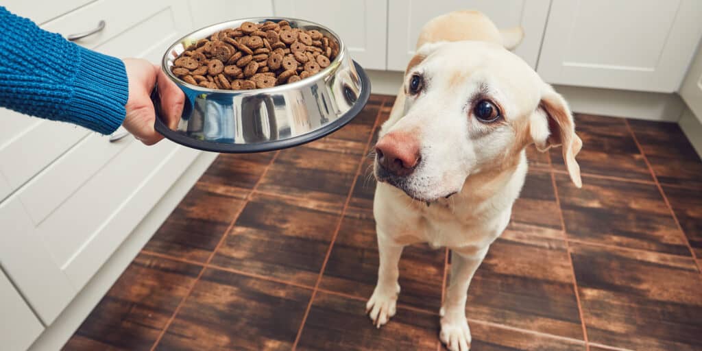 dog food nutrition varies based on what you feed your dog