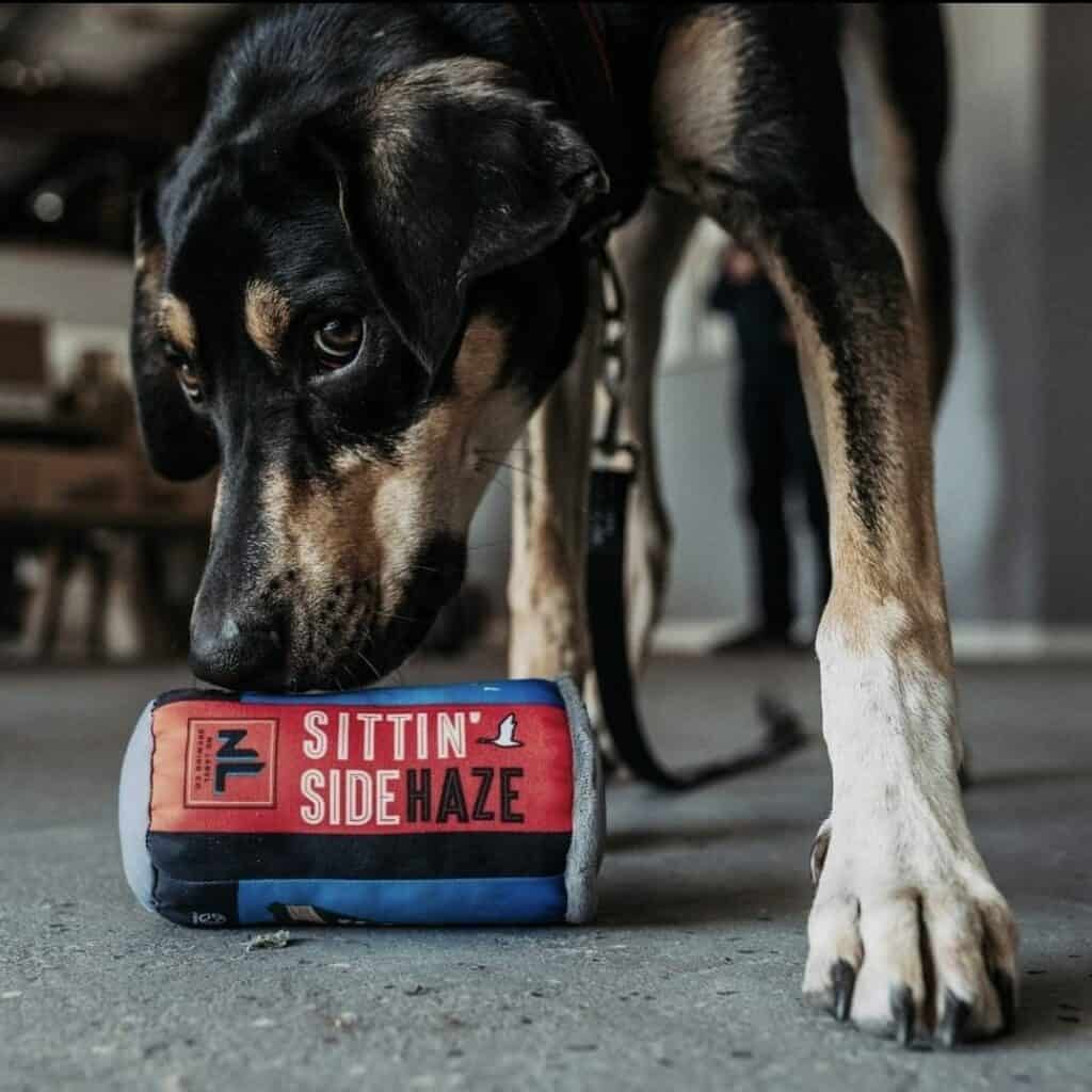 mixed breed brown and black dog plays with a toy at no label brewing company, a dog friendly brewery in Katy TX