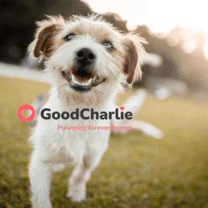 good charlie is a new breed of electricity company in texas
