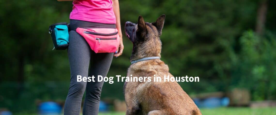 best dog trainers in houston