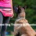 best dog trainers in houston