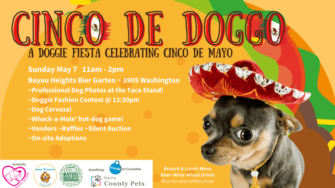 Cinco de Doggo Houston Dog Event Houston Dog Mom