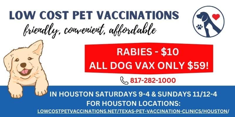 low cost pet vaccinations in houston texas
